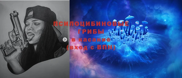 2c-b Богородицк