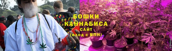 2c-b Богородицк